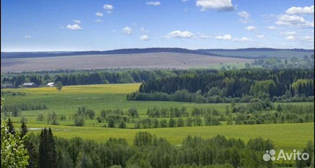 Участок 10 сот. (ИЖС) Участок 10 сот. (ИЖС)