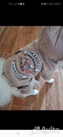 Комбинезон для маленькой собачки(зимний) Комбинезон для маленькой собачки(зимний)