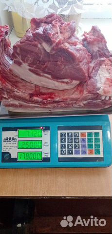 Продам поросят мясной породы мясо не спальное 28 м купить на Зозу.ру - фотография № 6