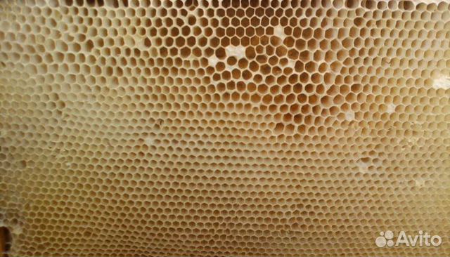 Сушь пчелиная, пчелоинвентарь купить на Зозу.ру - фотография № 1