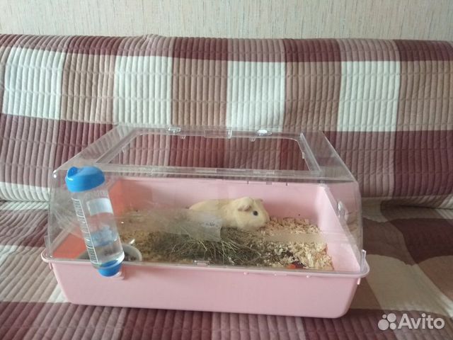 Клетка для грызунов