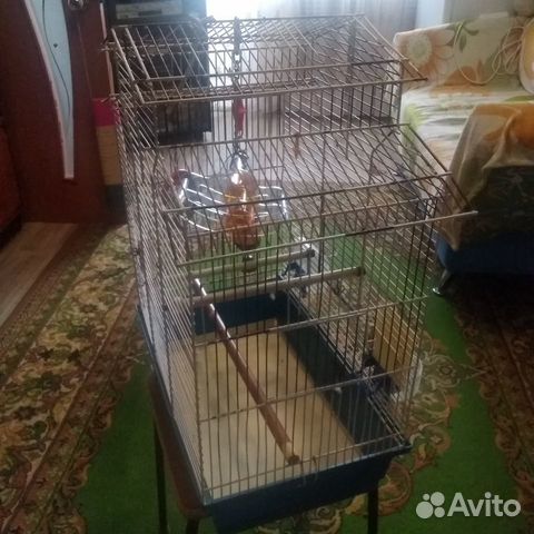 Клетка для птицы Клетка для птицы