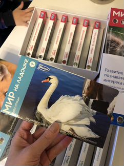 «Мир ну ладошке» наборы Умница