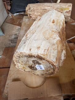 Окаменелое дерево. Мадагаскар