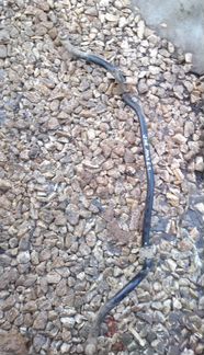 Передний стабилизатор Мицубиси Лансер 9