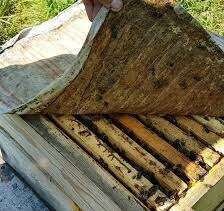 Холстик прополисный - положок