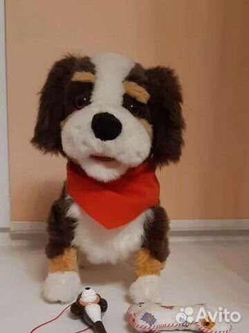 Интерактивная собака