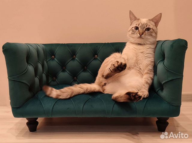 Диван-лежанка для животных