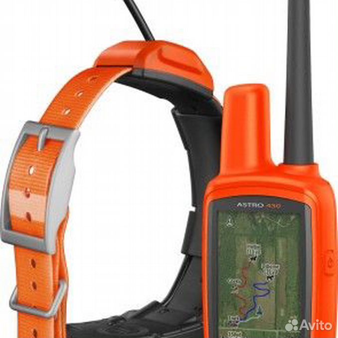 Garmin alpha 50 с ошейником