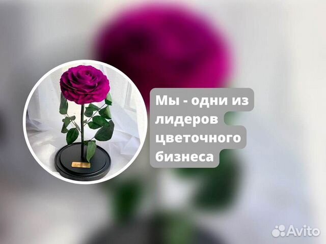 Неувядающая роза в колбе