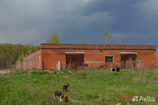 Ферма. Коровник, свинарник, крольчатник