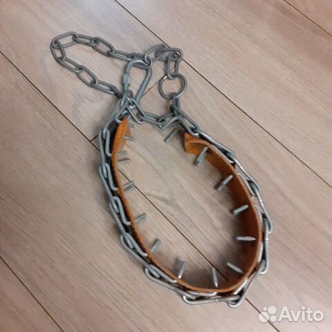 Строгий ошейник для собак