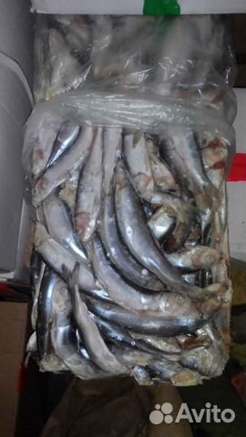 Рыба для собак, кошек, животных