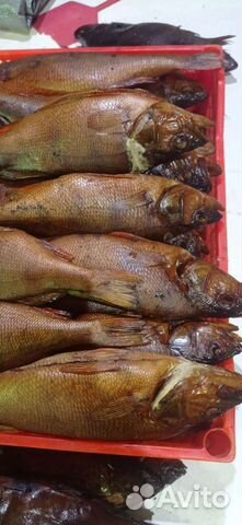 Рыба горячего, холодного копчения