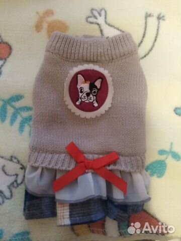 Одежда для щенка