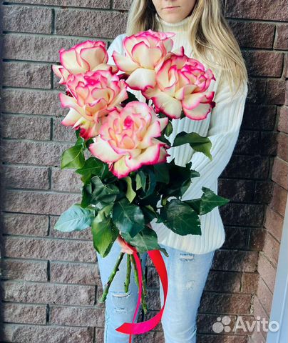 Роза крупная высокая цветы