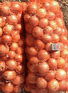 Картофель, морковь, свекла от производителя - фотография № 2