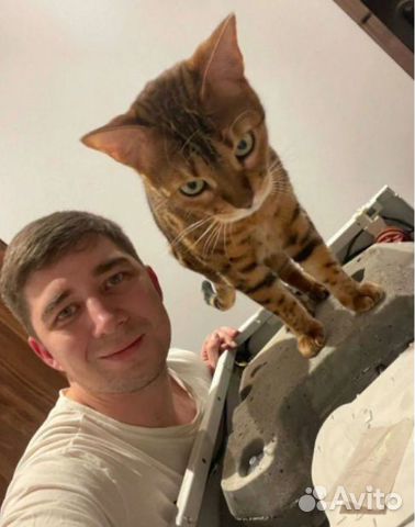 Ремонт Стиральных машин И Духовых Шкафов/ Бойлеров