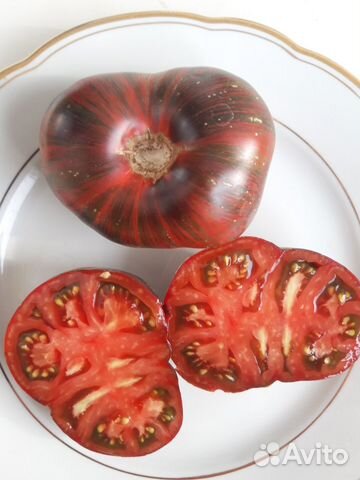 Семена коллекционных томатов