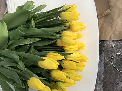 Тюльпаны оптом из теплиц к 8 марта