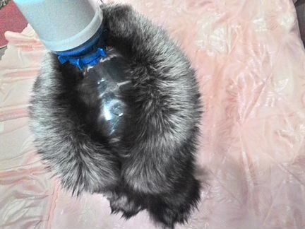 Шикарные воротники -чернобурка и песец