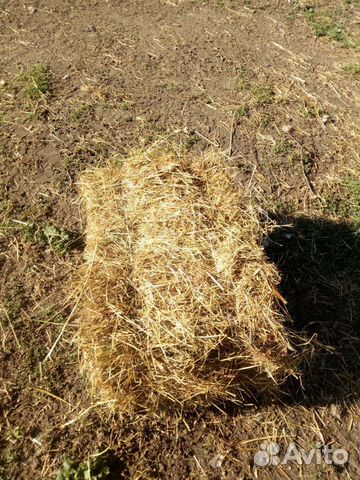 Солома,сено в тюках