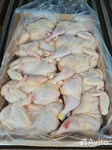 Куры птицефабрика 