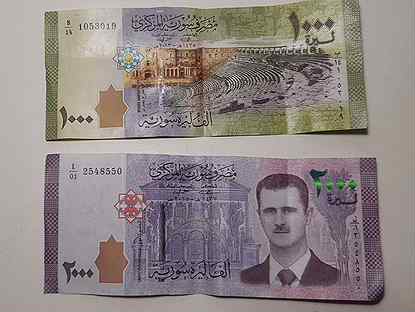 Валюта деньги сирия (цена за все)