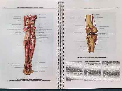 Атлас анатомии человека Синельников в 4-х томах