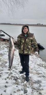 Свежемороженая и вяленая рыба