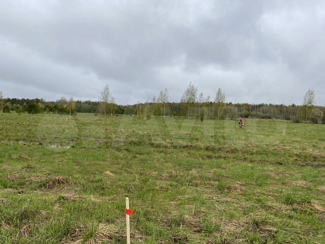 Участок 10 сот. (ИЖС)