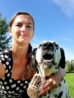 Передержка животных, выгул собак