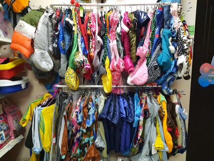 Одежда для собак и кошек