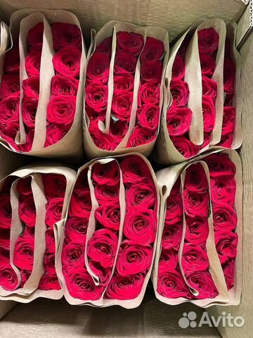Роза оптом. Букет из любого количества роз