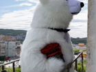 Продам готовый бизнес белый медведь