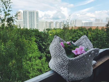 Листья Фиалки