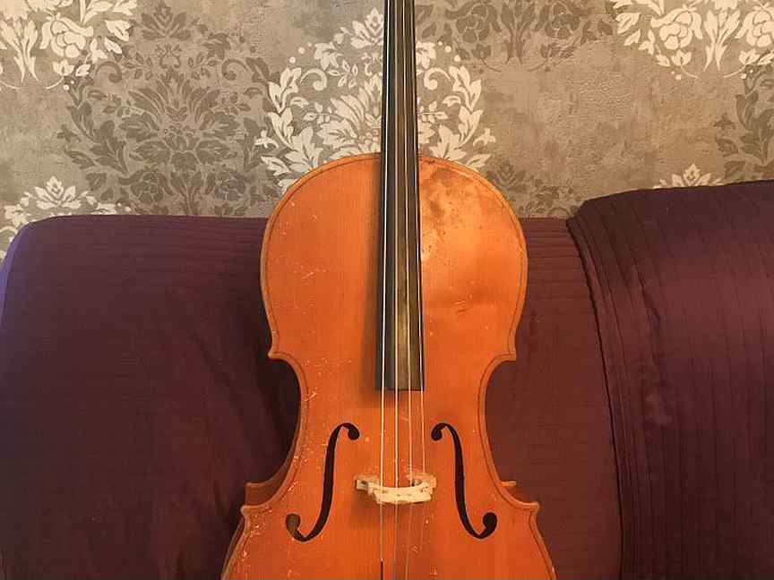 Виолончель stagg vnc-1/2. Brahner bc-11 виолончель 4/4. Виолончель 3 4. Виолончель 1/8. Виолончель cremona 40/4c 4/4.