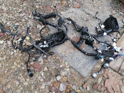 Подкапотная проводка Toyota Camry V70