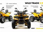 Квадроцикл 200 wild track X PRO (баланс. вал)