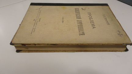 Зеньковский В.В. Проблема психической причинности