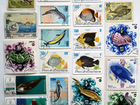 Почтовые марки 20 штук Рыбы