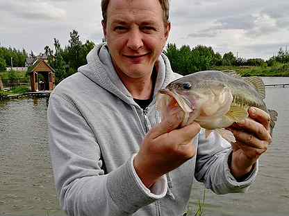 задание закончи предложение для дошкольников. щука сибирская. щука. короткие рассказы о рыбалке для детей. игра закончи предложение для дошкольников.