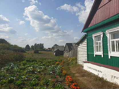 Село стежки тамбовская область. Деревня Стежки Тамбовская область.