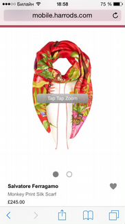 Платок Salvatore Ferogamo