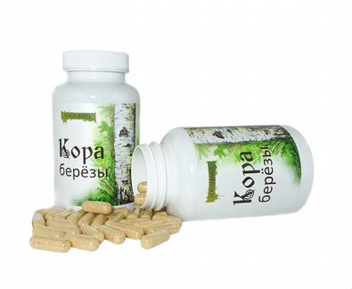 Кора берёзы