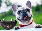Электронный ошейник, антилай, GPS для собак