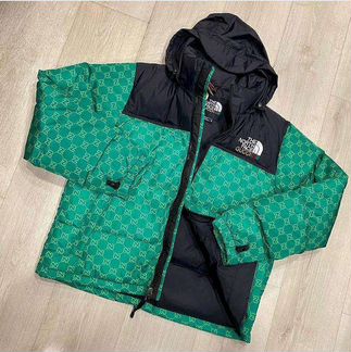Куртка the north face Gucci