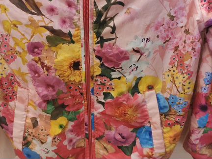 Ветровка акула