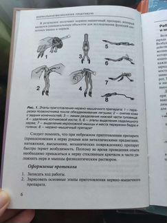 Физиология