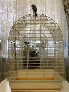 Клетка для попугая